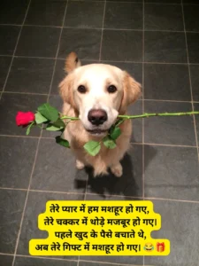 हंसी मजाक प्यार पर फनी शायरी